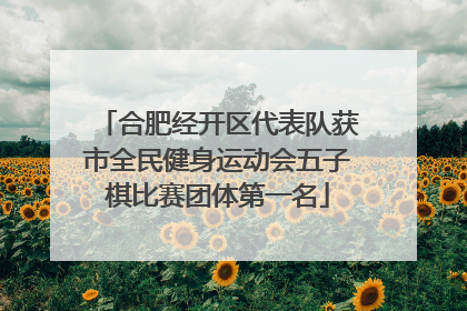 合肥经开区代表队获市全民健身运动会五子棋比赛团体第一名
